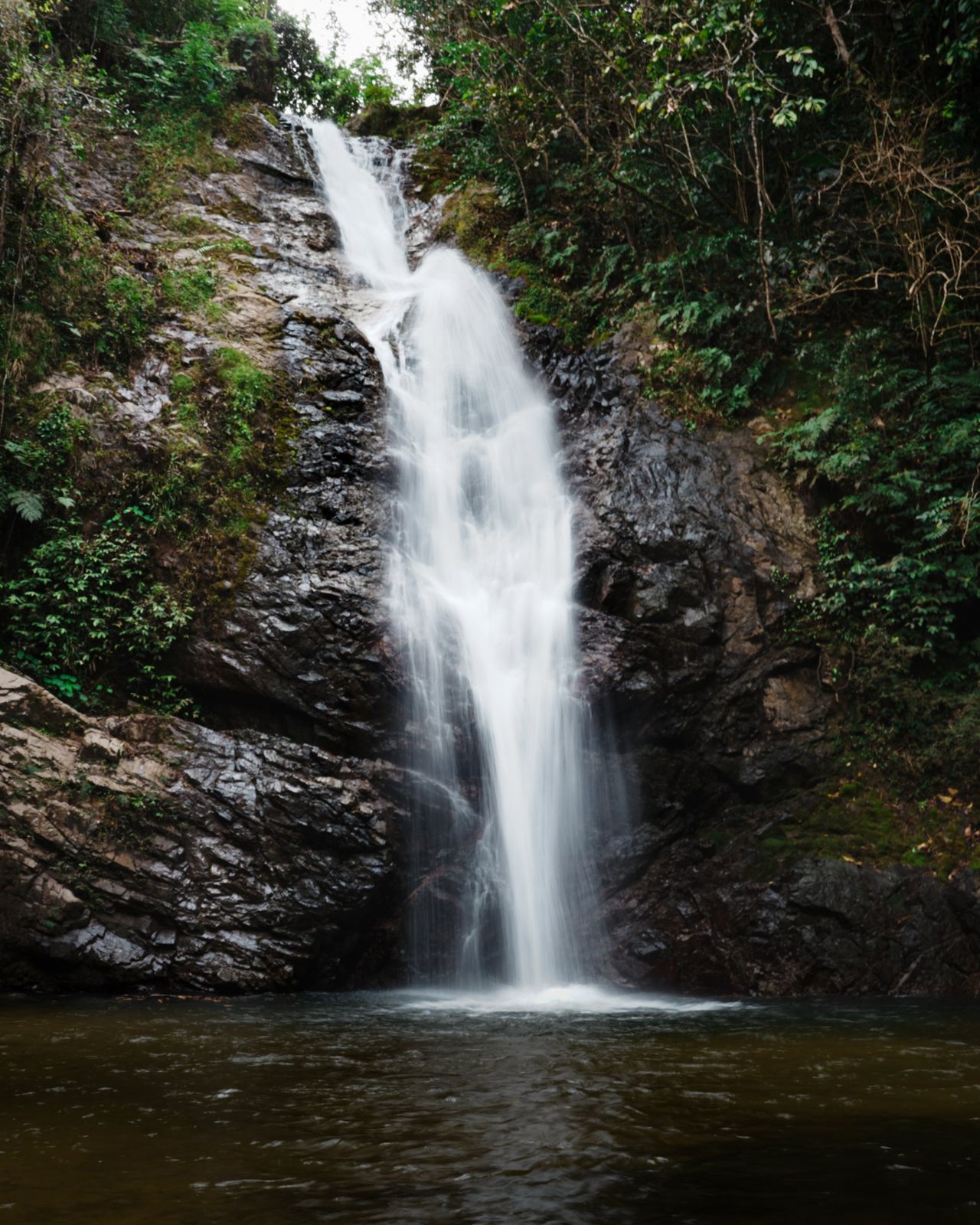 Waterfall pouring over dark rocks into a jungle pool